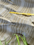 Designer Quality Silk Taffeta Stripes  - IVORY/ GREENISH GRAY!!!